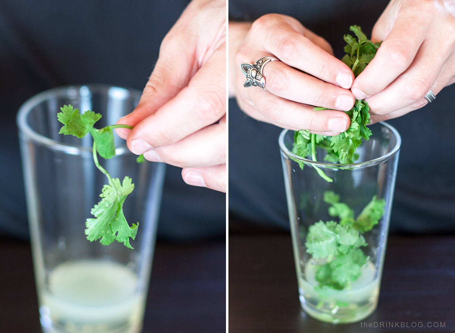 add cilantro to the shaker